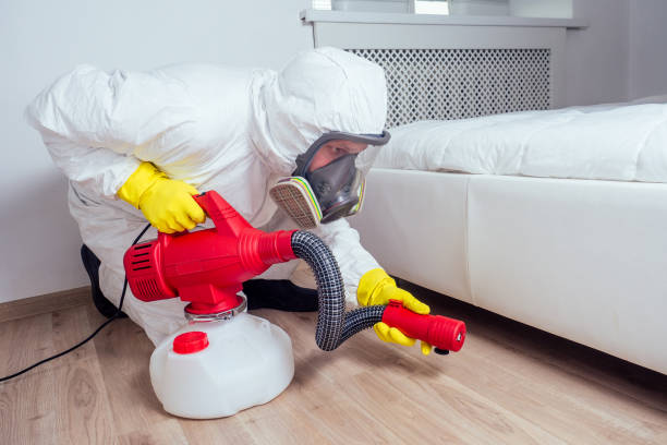 Best Best Pest Control Companies  in Dumas, TX