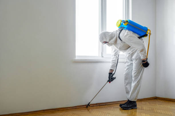 Best Bed Bug Extermination  in Dumas, TX