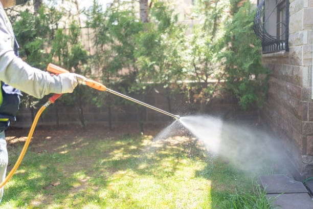 Best Exterminator Services  in Dumas, TX
