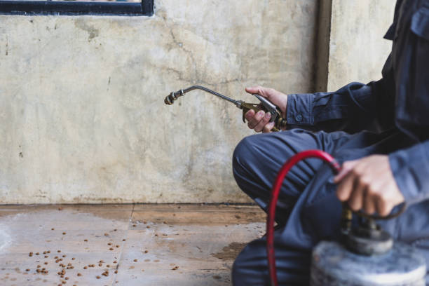Best Pest Control Near Me  in Dumas, TX