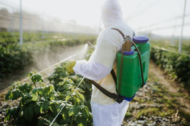Best Pest Control Near Me  in Dumas, TX